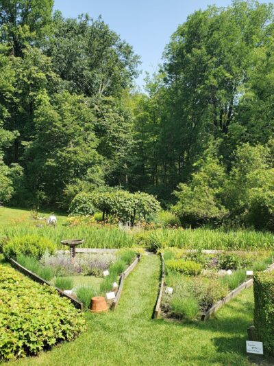 Hopkins Memorial Forest - Williamstown, MA