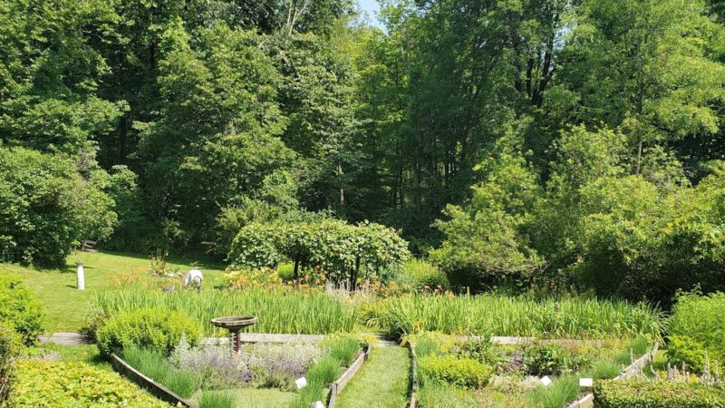 Hopkins Memorial Forest - Williamstown, MA