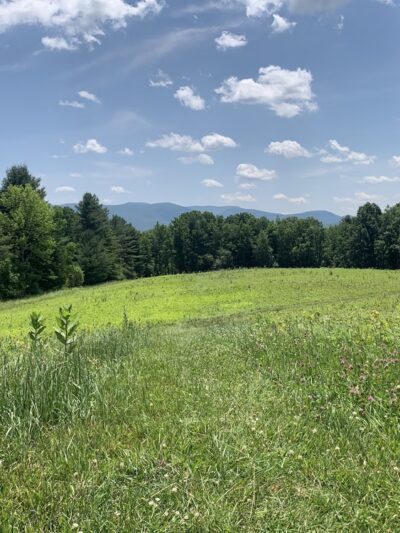 Mountain Meadow Preserve - Williamstown, MA
