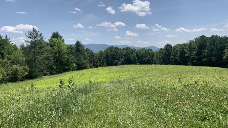Mountain Meadow Preserve - Williamstown, MA