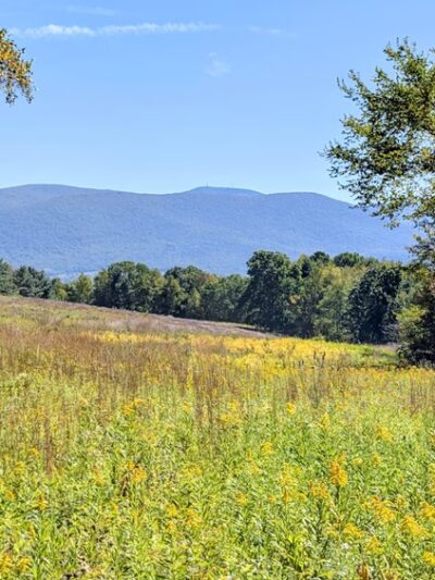 Mountain Meadow Preserve - Williamstown, MA