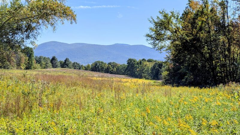 Mountain Meadow Preserve - Williamstown, MA