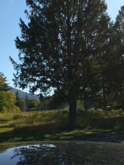 Spruces Park - Williamstown, MA