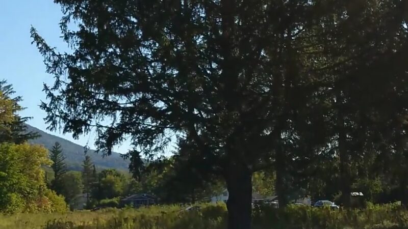 Spruces Park - Williamstown, MA