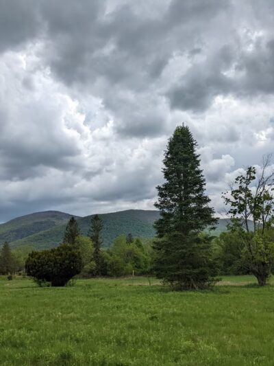 Spruces Park - Williamstown, MA