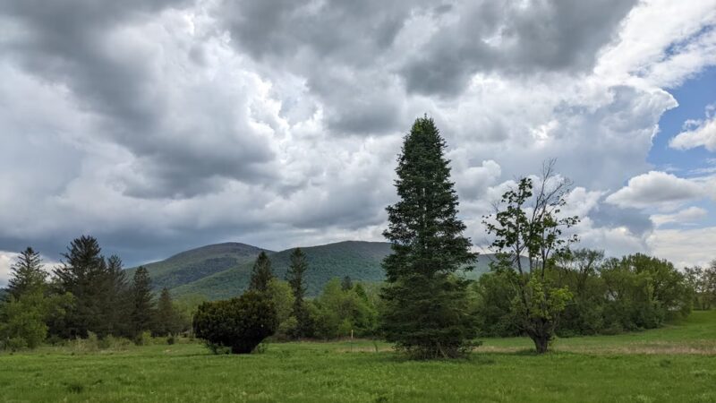 Spruces Park - Williamstown, MA