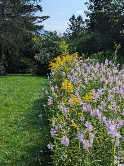 Spruces Park - Williamstown, MA