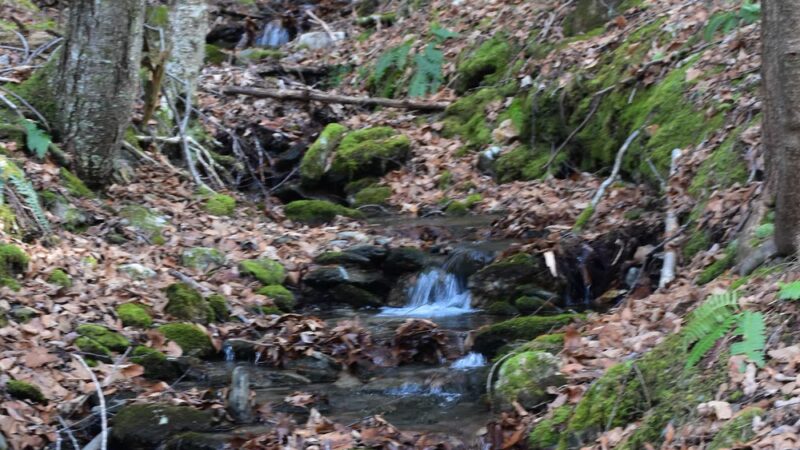 Stony Ledge - Williamstown, MA