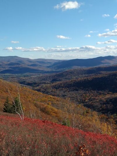 Taconic Trail State Park - Williamstown, MA