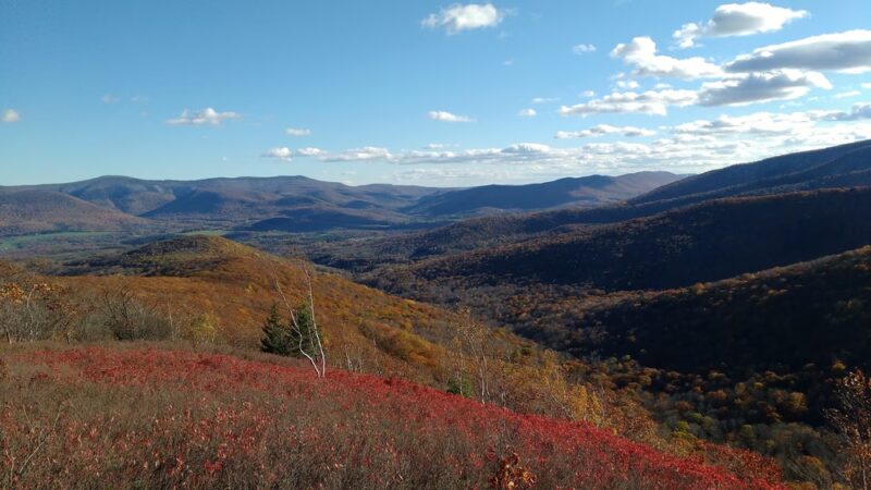 Taconic Trail State Park - Williamstown, MA