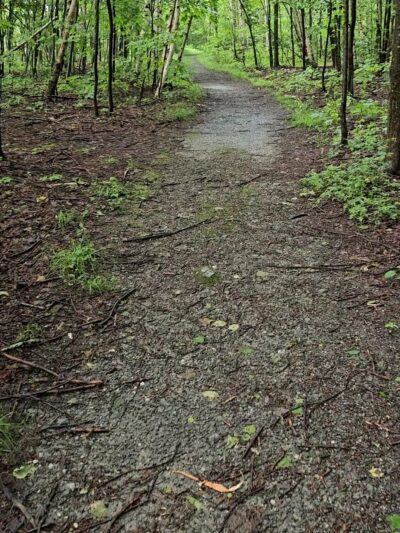Taconic Trail State Park - Williamstown, MA
