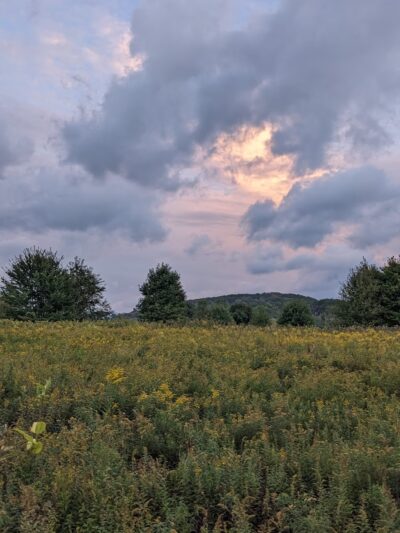 Taconic Trail State Park - Williamstown, MA