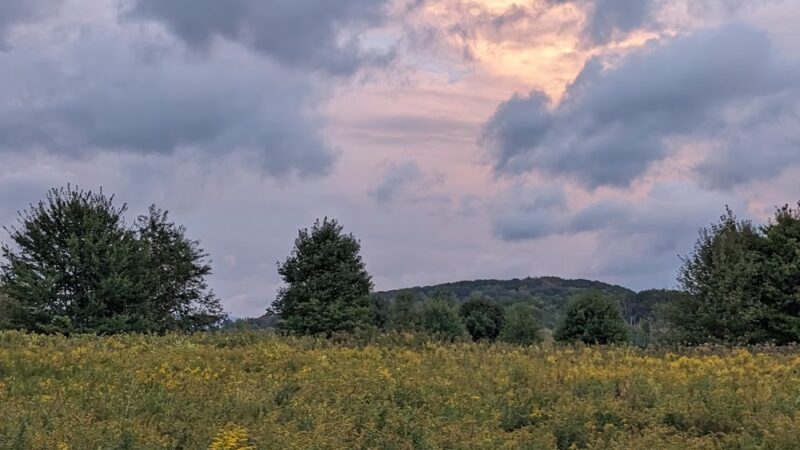 Taconic Trail State Park - Williamstown, MA