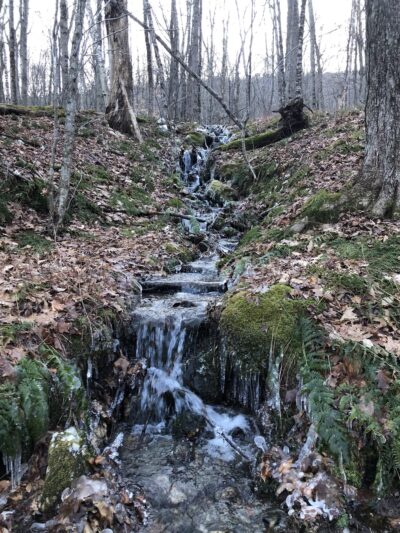Taconic Trail State Park - Williamstown, MA