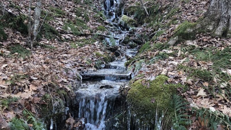 Taconic Trail State Park - Williamstown, MA
