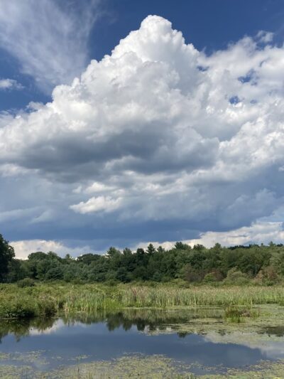 Fenton-Ruby Park - Willington, CT