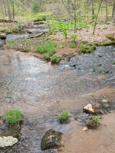 Fenton-Ruby Park - Willington, CT