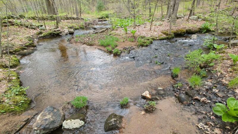 Fenton-Ruby Park - Willington, CT