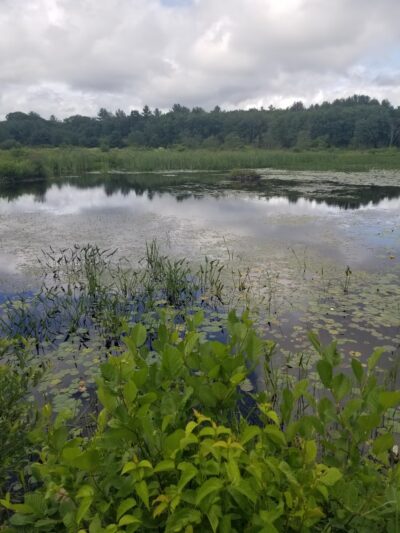 Fenton-Ruby Park - Willington, CT