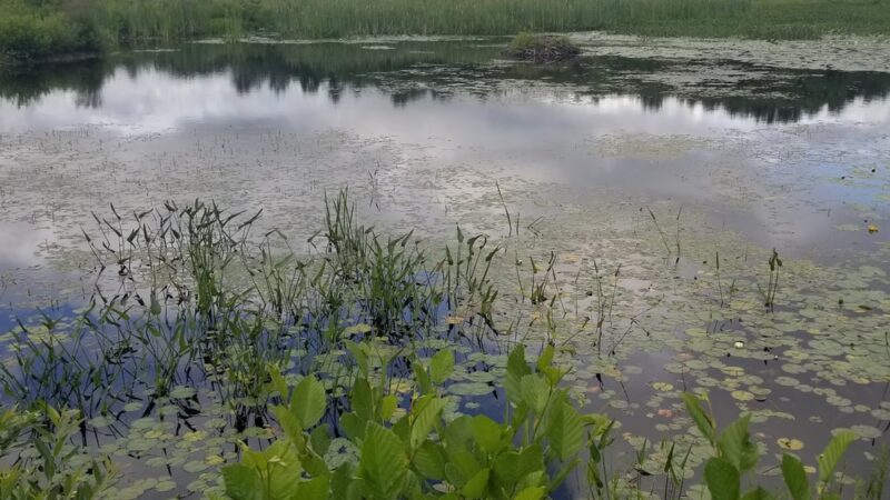 Fenton-Ruby Park - Willington, CT