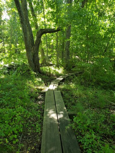 Fenton-Ruby Park - Willington, CT