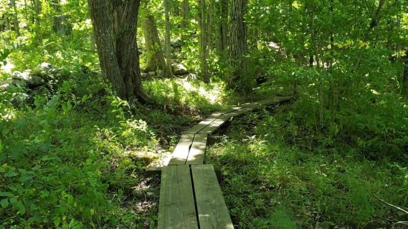 Fenton-Ruby Park - Willington, CT