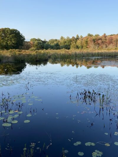 Fenton-Ruby Park - Willington, CT