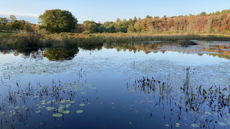 Fenton-Ruby Park - Willington, CT