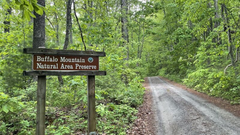 Buffalo Mountain Natural Area Preserve - Willis, VA