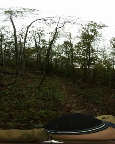 Buffalo Mountain Natural Area Preserve - Willis, VA
