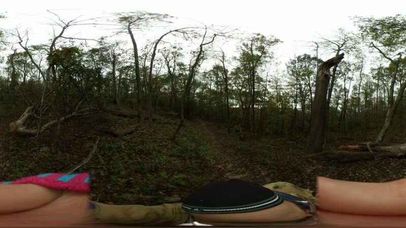 Buffalo Mountain Natural Area Preserve - Willis, VA