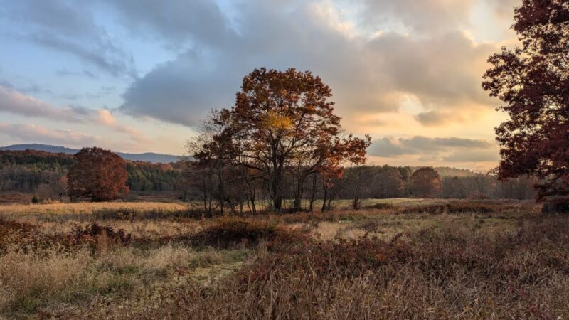 Wild Meadows - Willis, VA