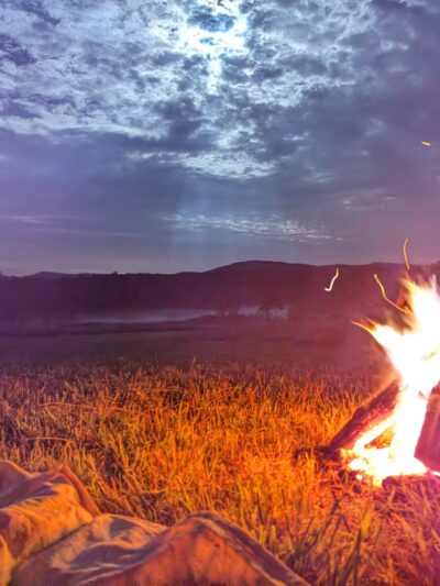 Wild Meadows - Willis, VA