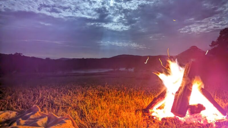 Wild Meadows - Willis, VA