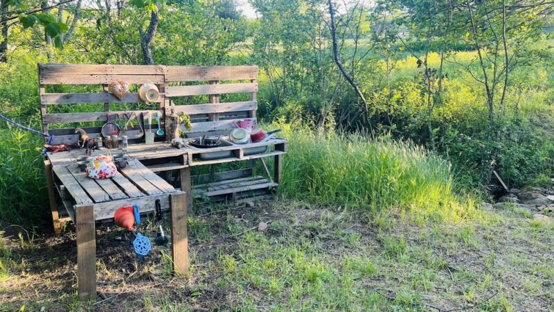 Wild Meadows - Willis, VA