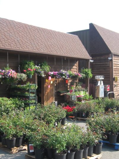 Willis Village Mart - Willis, VA