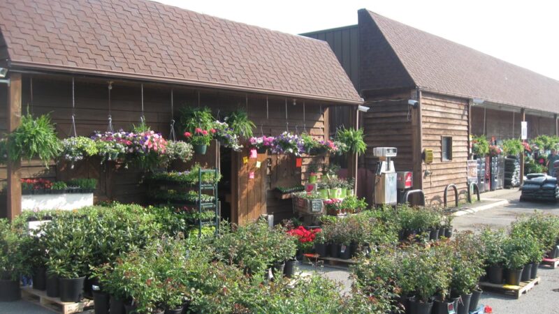 Willis Village Mart - Willis, VA