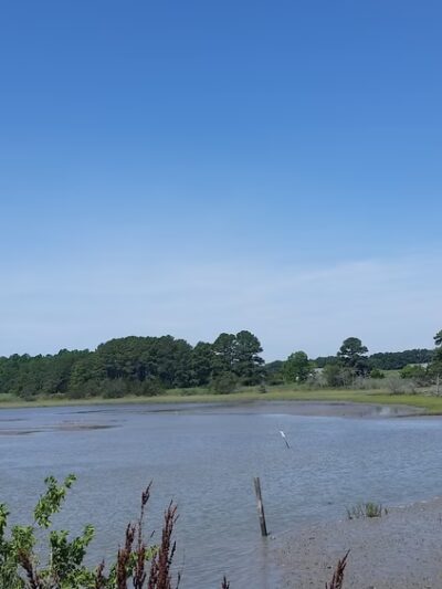 Willis Wharf - Willis Wharf, VA