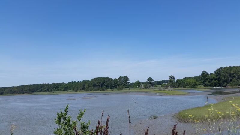 Willis Wharf - Willis Wharf, VA