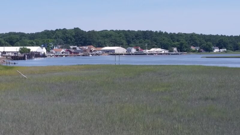 Willis Wharf - Willis Wharf, VA