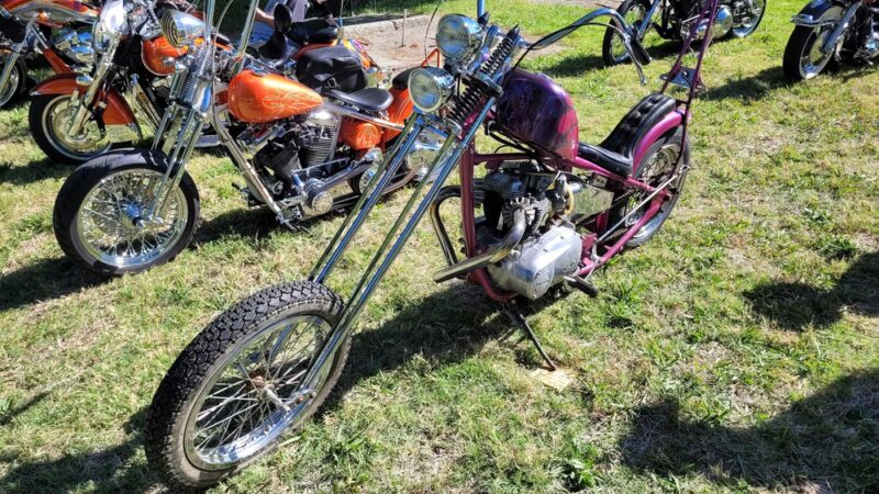 Playground - Willows, CA