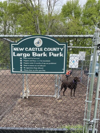 Dog park @ River Road Park - Wilmington, DE