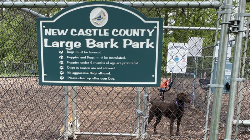 Dog park @ River Road Park - Wilmington, DE