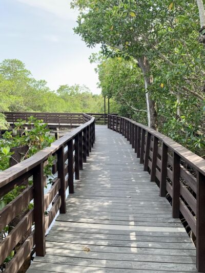 Colohatchee Park and Dog Park - Wilton Manors, FL