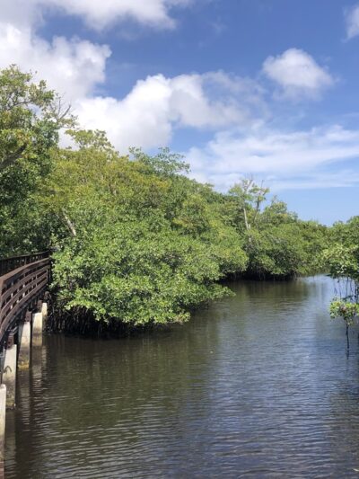 Colohatchee Park and Dog Park - Wilton Manors, FL