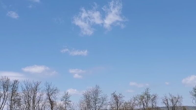 Rose Hill Park - Winchester, VA