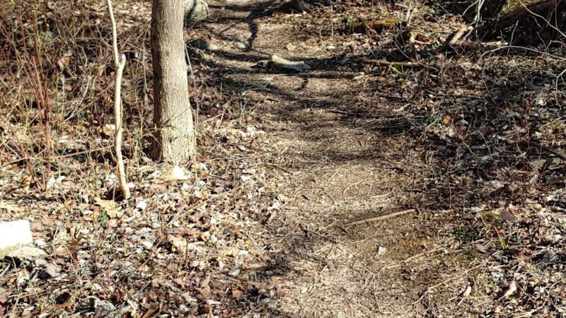 Rose Hill Park - Winchester, VA