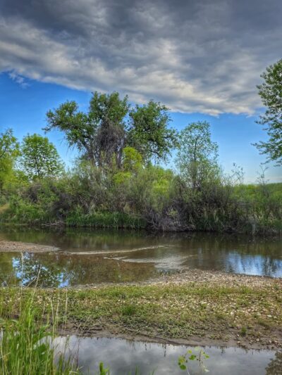 Frank State Wildlife Trailhead - Windsor, CO