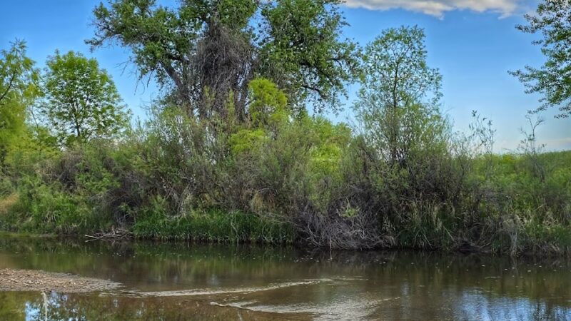Frank State Wildlife Trailhead - Windsor, CO