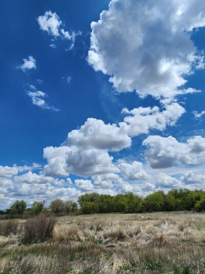 Frank State Wildlife Trailhead - Windsor, CO